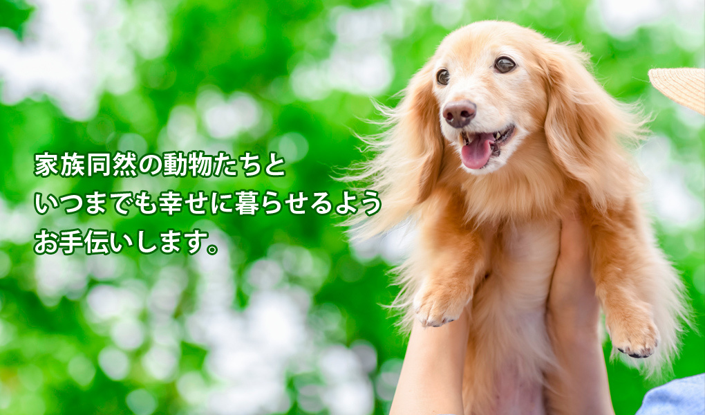 img20171003141725702021.jpg