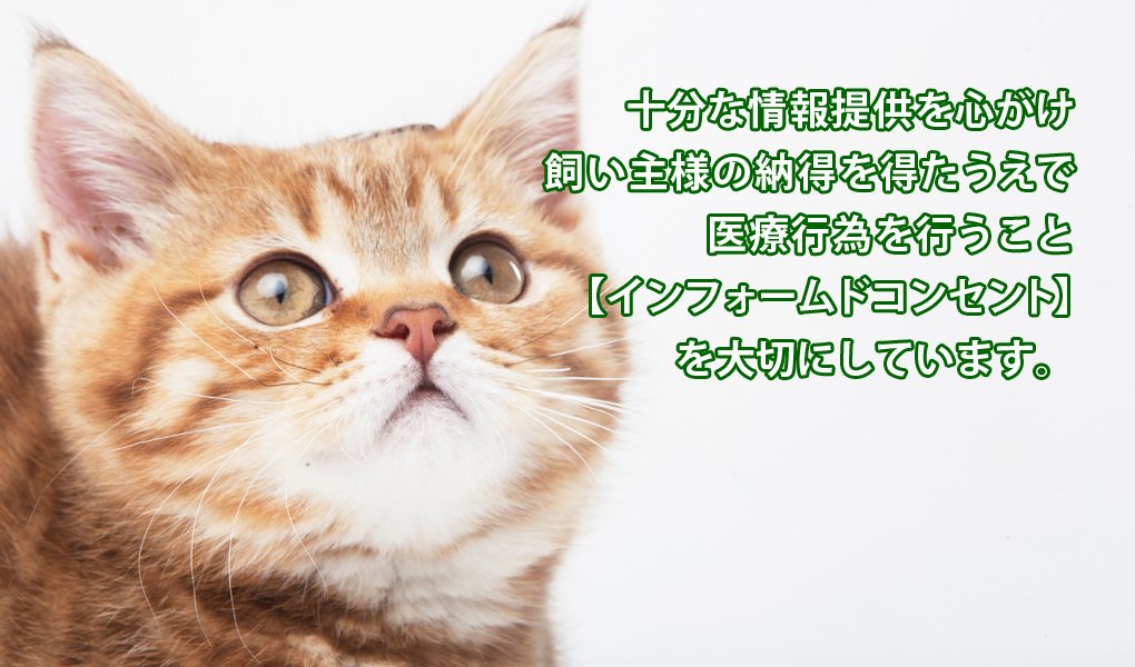 img20171003141728907054.jpg